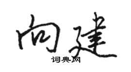 駱恆光向建行書個性簽名怎么寫