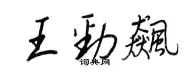 王正良王勁飈行書個性簽名怎么寫