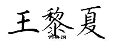 丁謙王黎夏楷書個性簽名怎么寫