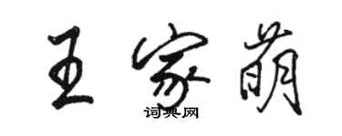 駱恆光王家萌行書個性簽名怎么寫