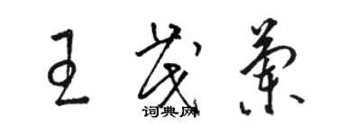 駱恆光王茂蘭草書個性簽名怎么寫