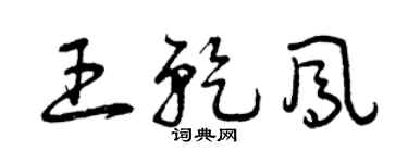 曾慶福王乾鳳草書個性簽名怎么寫