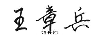 駱恆光王章兵行書個性簽名怎么寫