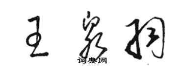 駱恆光王泉羽草書個性簽名怎么寫