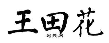 翁闓運王田花楷書個性簽名怎么寫