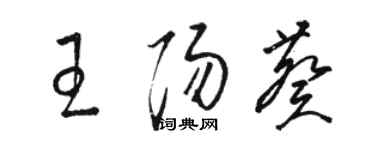 駱恆光王陽葵草書個性簽名怎么寫