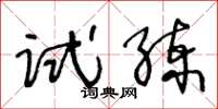 王冬齡試練草書怎么寫