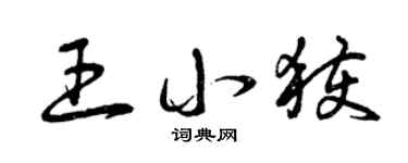 曾慶福王小獲草書個性簽名怎么寫