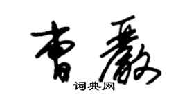 朱錫榮曹嚴草書個性簽名怎么寫