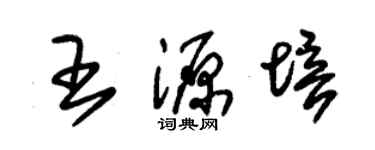 朱錫榮王源培草書個性簽名怎么寫