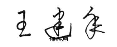 駱恆光王建年草書個性簽名怎么寫