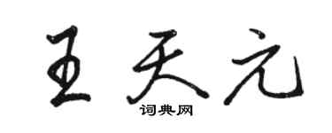 駱恆光王天元行書個性簽名怎么寫
