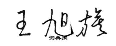 駱恆光王旭旗草書個性簽名怎么寫