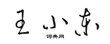 駱恆光王小東草書個性簽名怎么寫