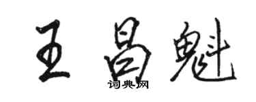 駱恆光王昌魁行書個性簽名怎么寫