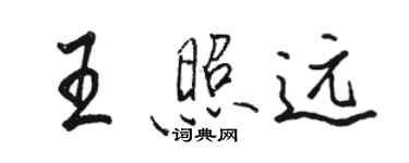 駱恆光王照遠行書個性簽名怎么寫