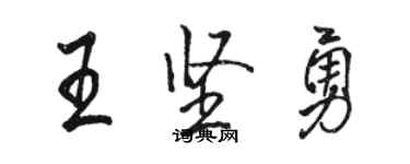 駱恆光王堅勇行書個性簽名怎么寫