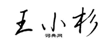 王正良王小杉行書個性簽名怎么寫