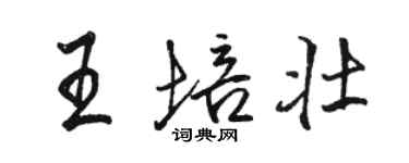 駱恆光王培壯行書個性簽名怎么寫