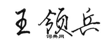 駱恆光王領兵行書個性簽名怎么寫