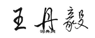 駱恆光王丹毅行書個性簽名怎么寫