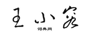 駱恆光王小容草書個性簽名怎么寫