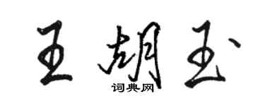 駱恆光王胡玉行書個性簽名怎么寫