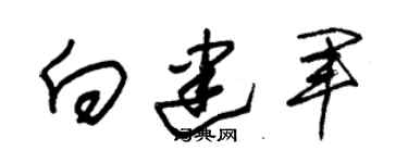 朱錫榮向建軍草書個性簽名怎么寫