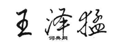 駱恆光王澤猛行書個性簽名怎么寫