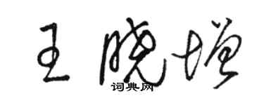 駱恆光王曉增草書個性簽名怎么寫