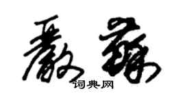 朱錫榮嚴蘇草書個性簽名怎么寫