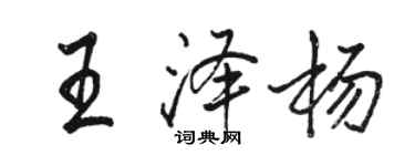 駱恆光王澤楊行書個性簽名怎么寫