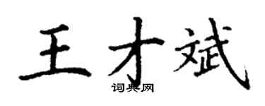 丁謙王才斌楷書個性簽名怎么寫