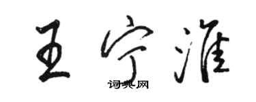 駱恆光王寧淮行書個性簽名怎么寫