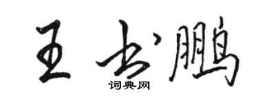 駱恆光王書鵬行書個性簽名怎么寫