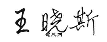 駱恆光王曉斯行書個性簽名怎么寫