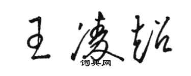 駱恆光王凌超草書個性簽名怎么寫