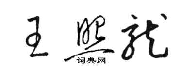 駱恆光王照龍草書個性簽名怎么寫