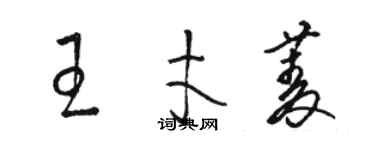 駱恆光王才菱草書個性簽名怎么寫