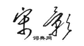 駱恆光宋影草書個性簽名怎么寫