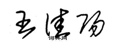朱錫榮王佳陽草書個性簽名怎么寫