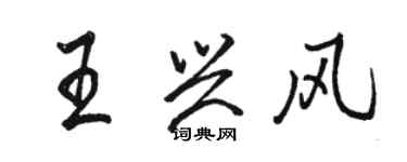 駱恆光王興風行書個性簽名怎么寫