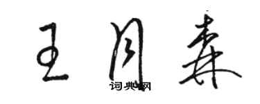 駱恆光王月森草書個性簽名怎么寫