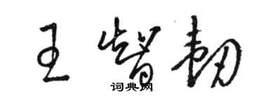 駱恆光王智韌草書個性簽名怎么寫