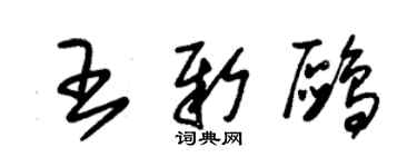 朱錫榮王新鷗草書個性簽名怎么寫