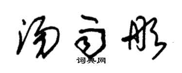 朱錫榮湯雨彤草書個性簽名怎么寫