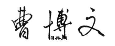 駱恆光曹博文行書個性簽名怎么寫