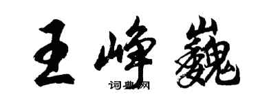 胡問遂王崢巍行書個性簽名怎么寫