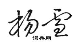 駱恆光楊雪草書個性簽名怎么寫