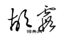 駱恆光胡霞草書個性簽名怎么寫